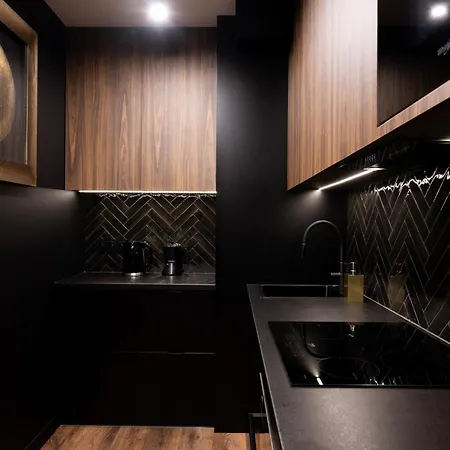 Apartman Native Kosciuszki 39i11 Krakkó